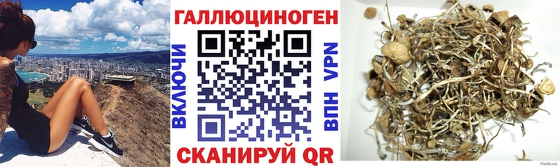 Псилоцибиновые грибы мухоморы  MEGA рабочий сайт  Соль-Илецк 